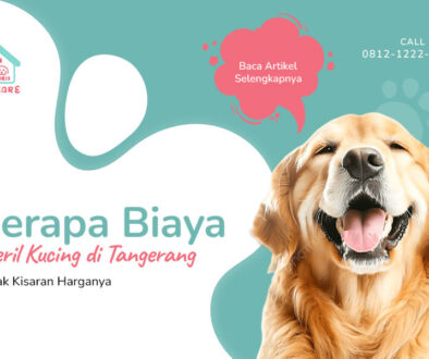 Berapa Biaya Steril Kucing di Tangerang Simak Kisaran Harganya(1)
