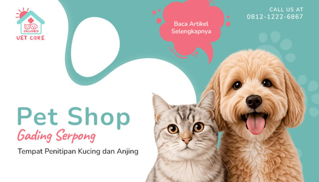 Pet Hotel Gading Serpong Tempat Penitipan Kucing dan Anjing(1)