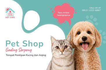 Pet Hotel Gading Serpong Tempat Penitipan Kucing dan Anjing(1)