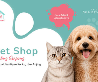 Pet Hotel Gading Serpong Tempat Penitipan Kucing dan Anjing(1)