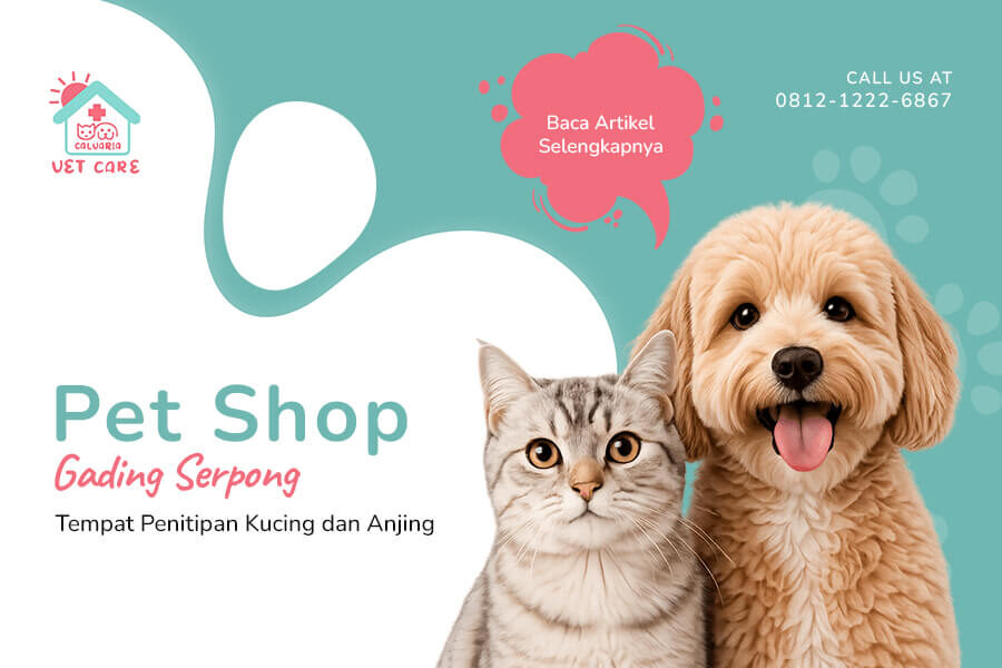 Pet Hotel Gading Serpong Tempat Penitipan Kucing dan Anjing(1)