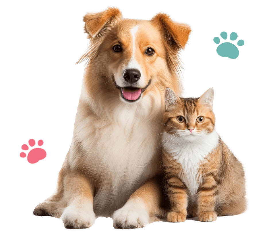 pet shop serpong 5(1)